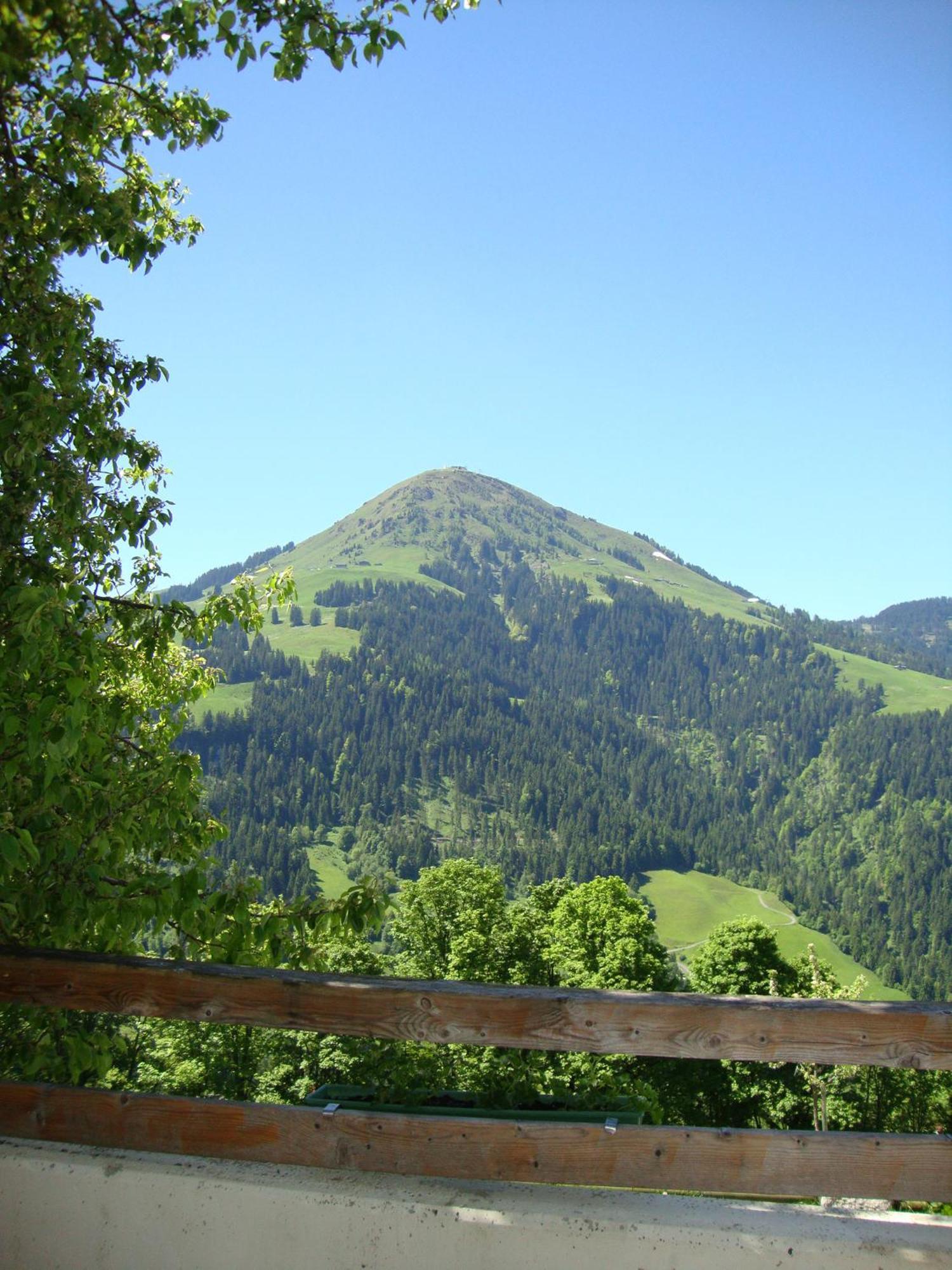 Alpengasthof Gruberhof Guest house